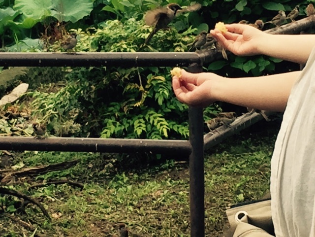 f:id:shobuno:20150706232947j:image f:id:shobuno:20150706232947j:image