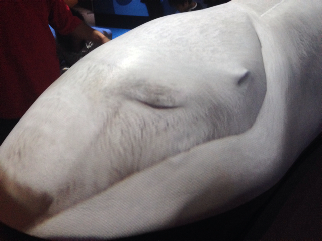 f:id:shoby:20131013232556j:plain