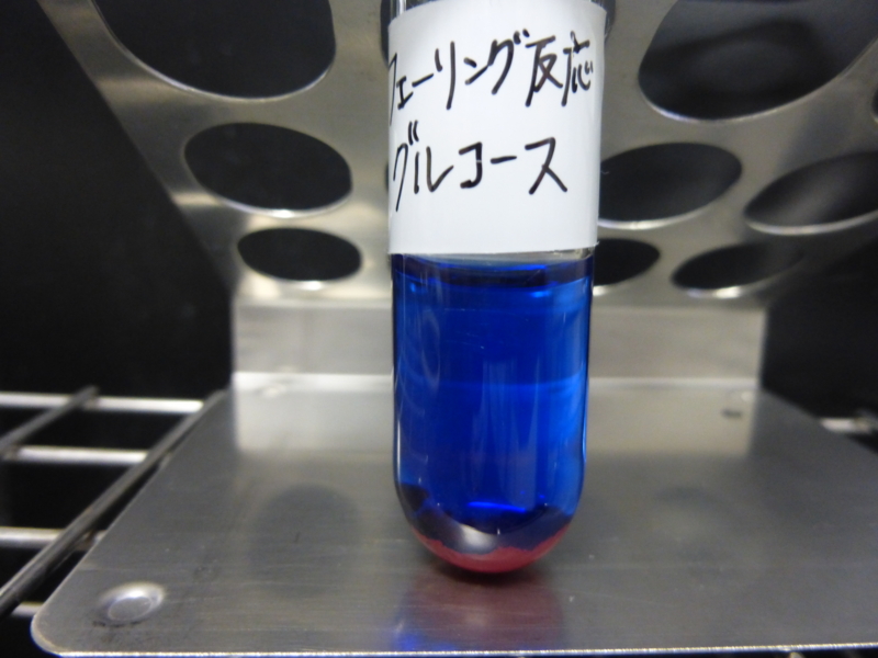 f:id:shokujikken228:20150123162658j:plain f:id:shokujikken228:20150123162658j:plain