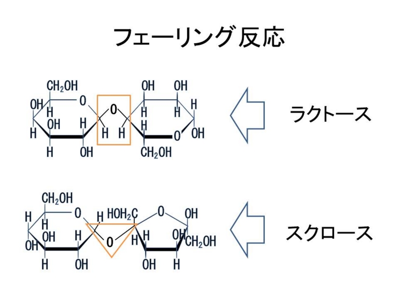 f:id:shokujikken228:20150310112548j:plain f:id:shokujikken228:20150310112548j:plain