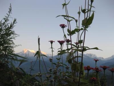 f:id:shophimalayan:20150517135811j:plain f:id:shophimalayan:20150517135811j:plain
