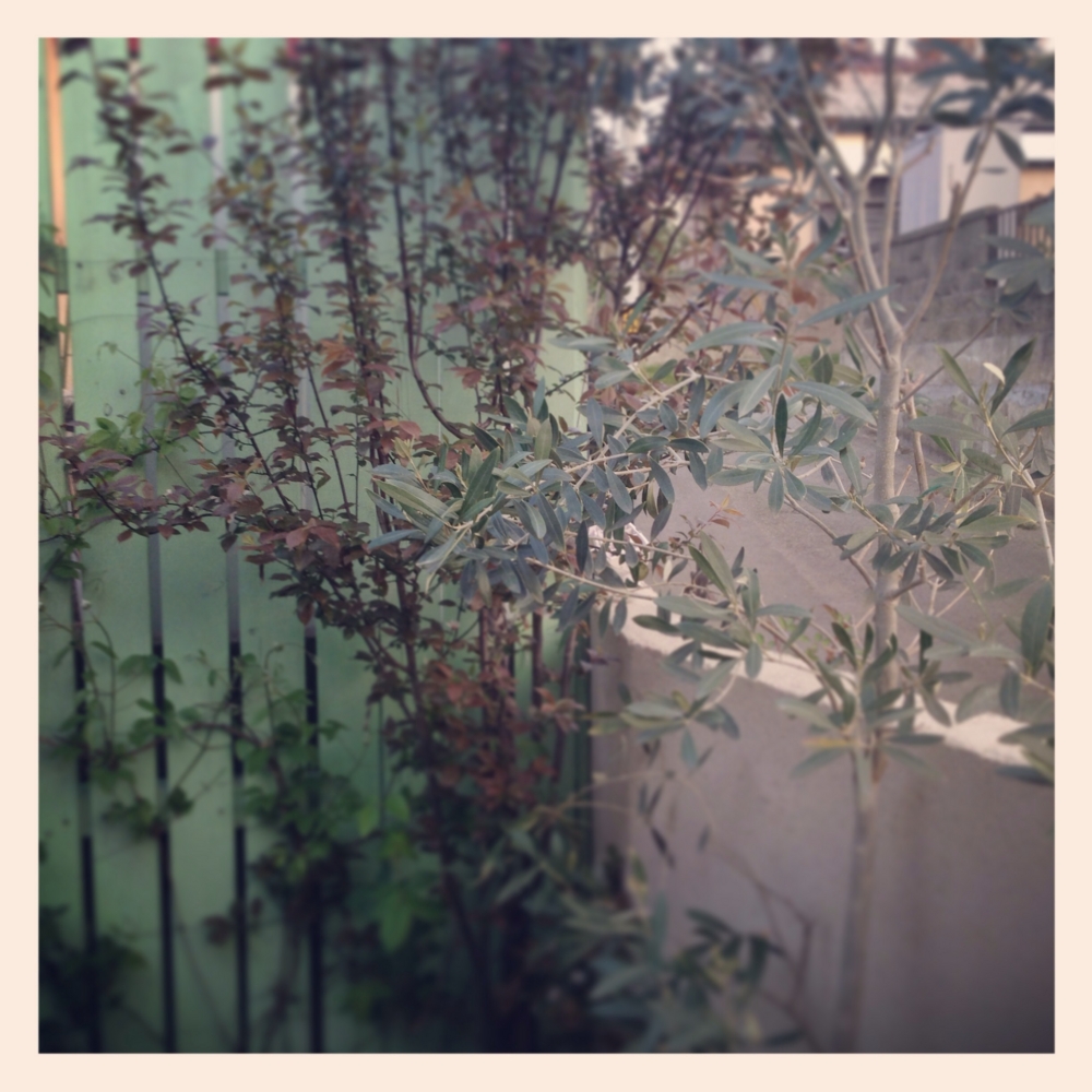 f:id:shopopo:20140424201034j:plain f:id:shopopo:20140424201034j:plain