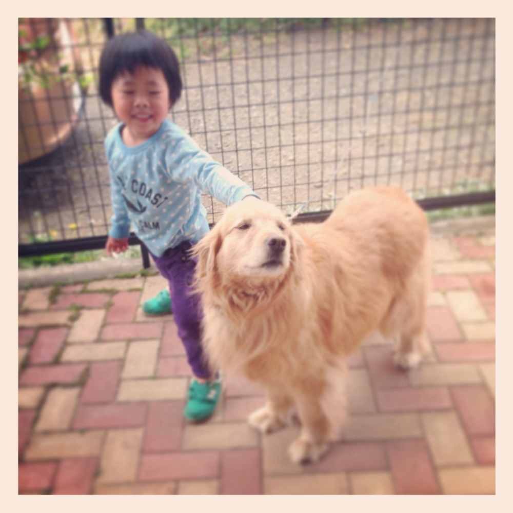 f:id:shopopo:20140509022225j:plain f:id:shopopo:20140509022225j:plain