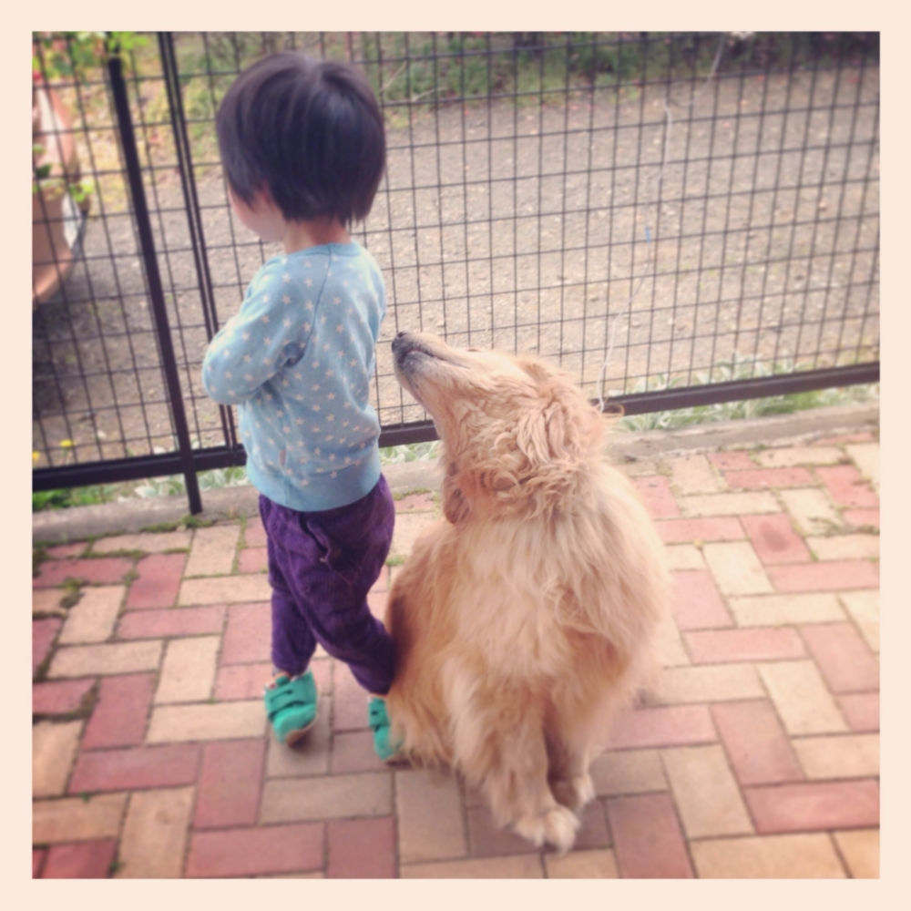 f:id:shopopo:20140509022251j:plain f:id:shopopo:20140509022251j:plain