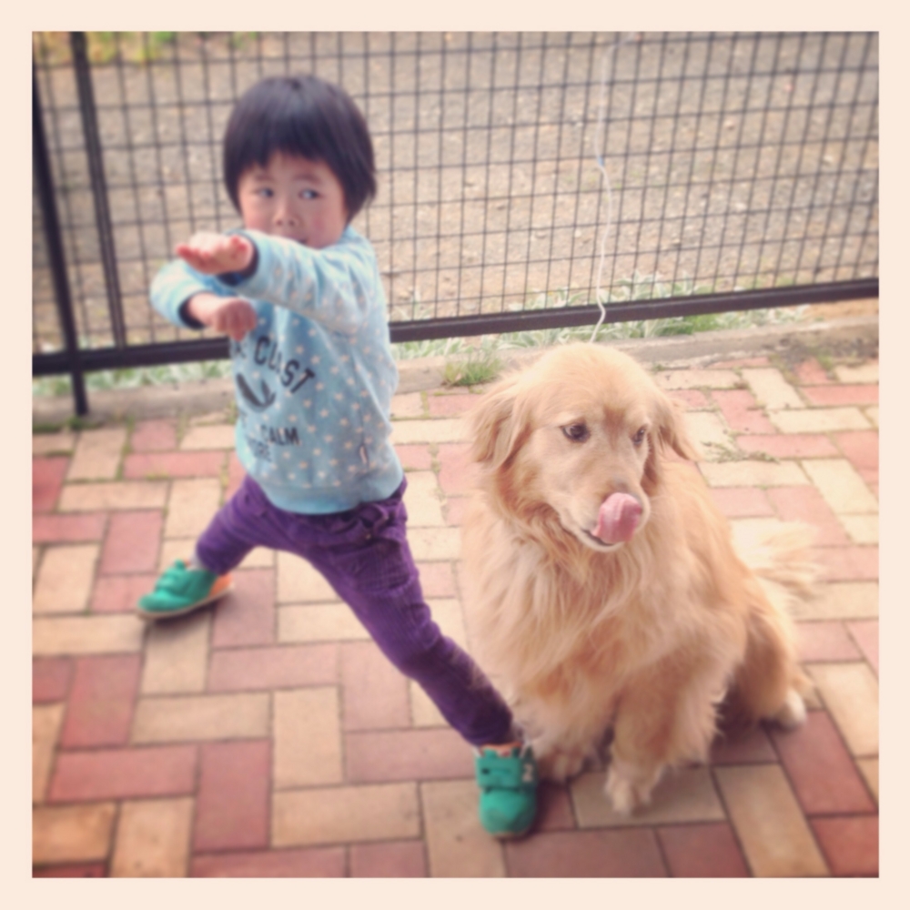 f:id:shopopo:20140509022314j:plain f:id:shopopo:20140509022314j:plain
