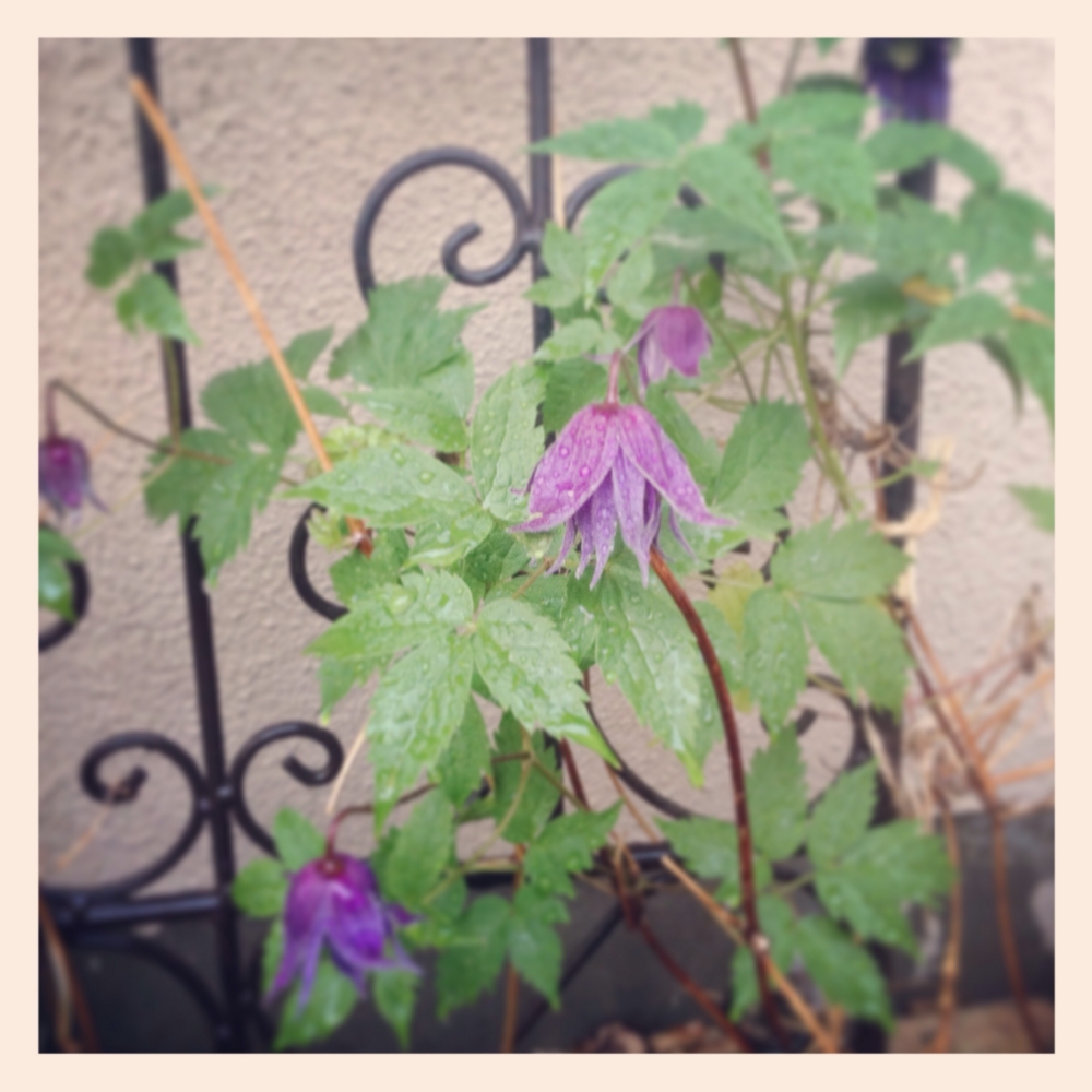 f:id:shopopo:20140509023748j:plain f:id:shopopo:20140509023748j:plain