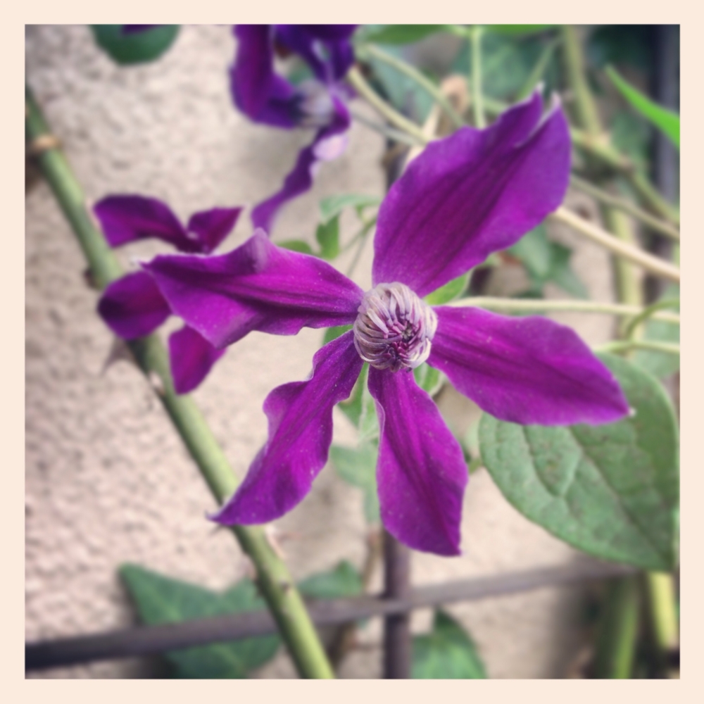 f:id:shopopo:20140612195722j:plain f:id:shopopo:20140612195722j:plain