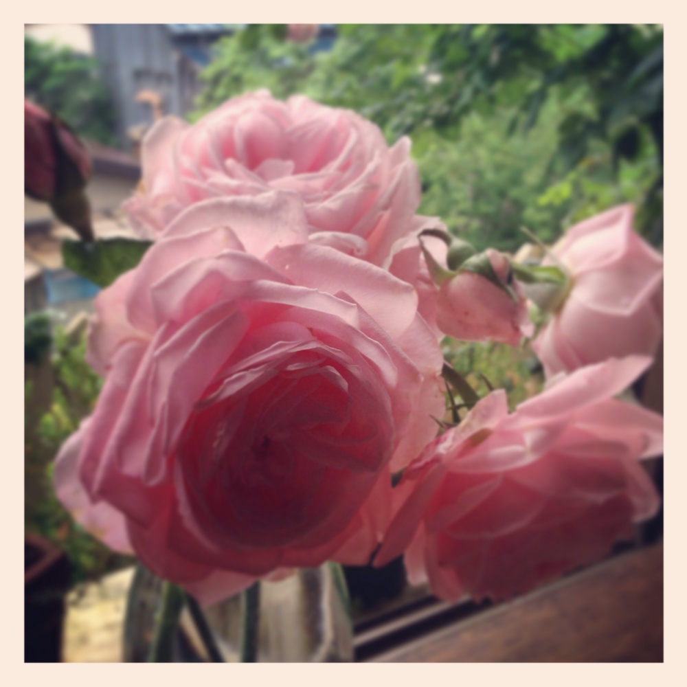 f:id:shopopo:20140612195840j:plain f:id:shopopo:20140612195840j:plain
