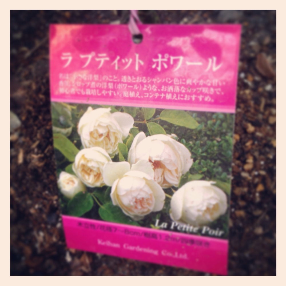 f:id:shopopo:20140618200052j:plain f:id:shopopo:20140618200052j:plain