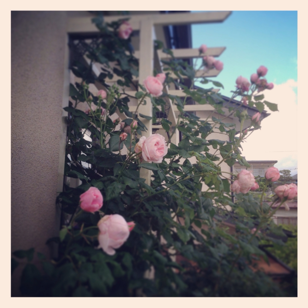 f:id:shopopo:20140618204142j:plain f:id:shopopo:20140618204142j:plain