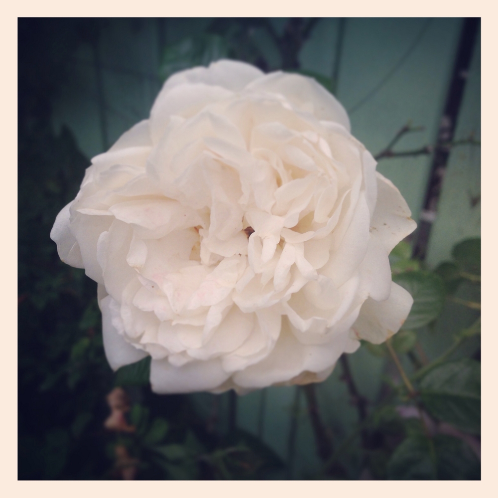 f:id:shopopo:20140618204340j:plain f:id:shopopo:20140618204340j:plain