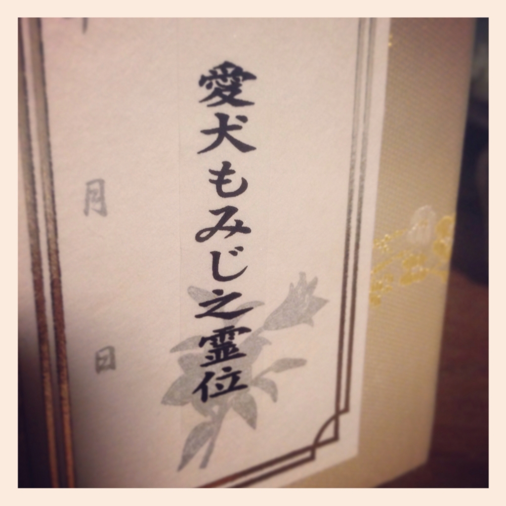 f:id:shopopo:20150306230847j:plain f:id:shopopo:20150306230847j:plain