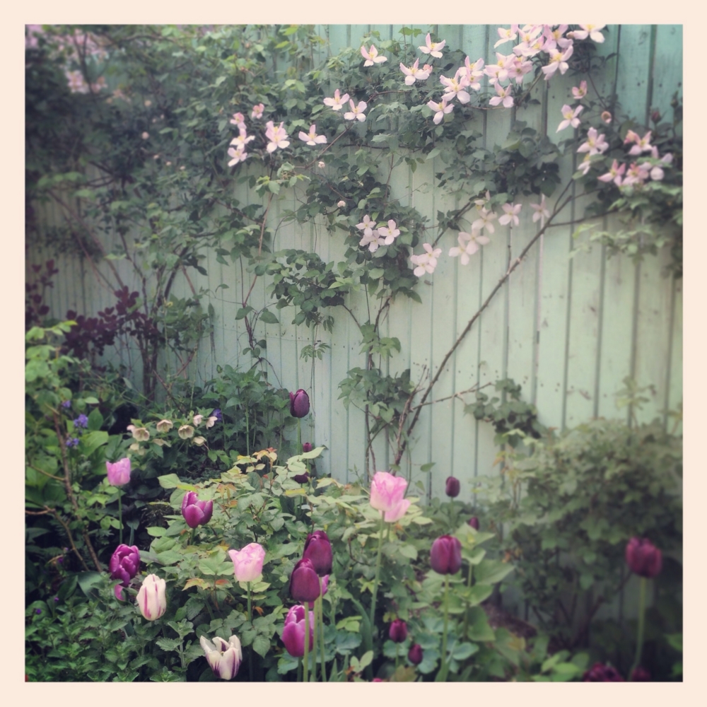 f:id:shopopo:20150503204400j:plain f:id:shopopo:20150503204400j:plain