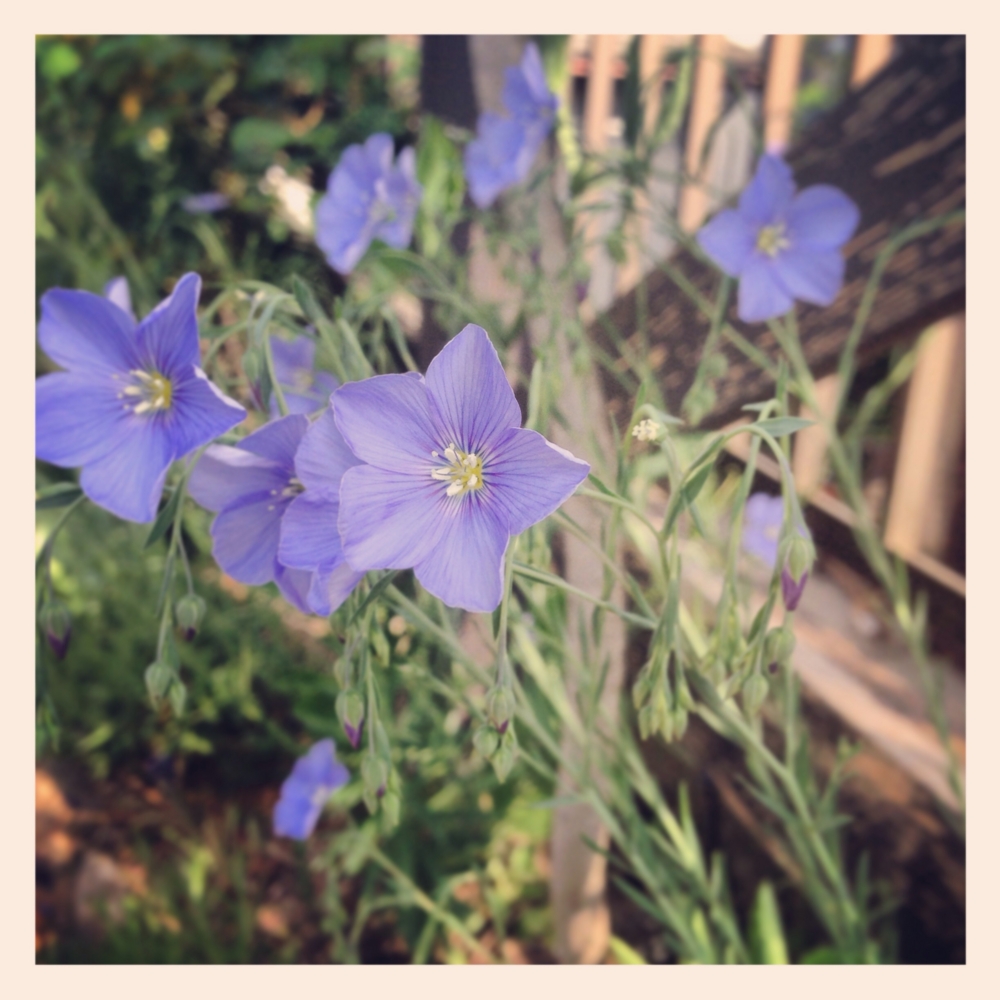 f:id:shopopo:20150503204921j:plain f:id:shopopo:20150503204921j:plain