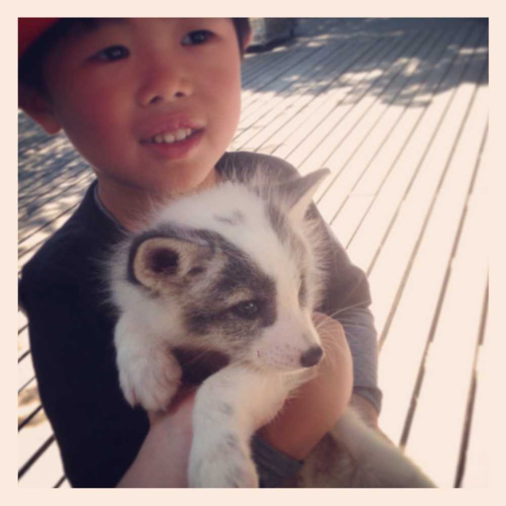 f:id:shopopo:20150607212918j:plain f:id:shopopo:20150607212918j:plain