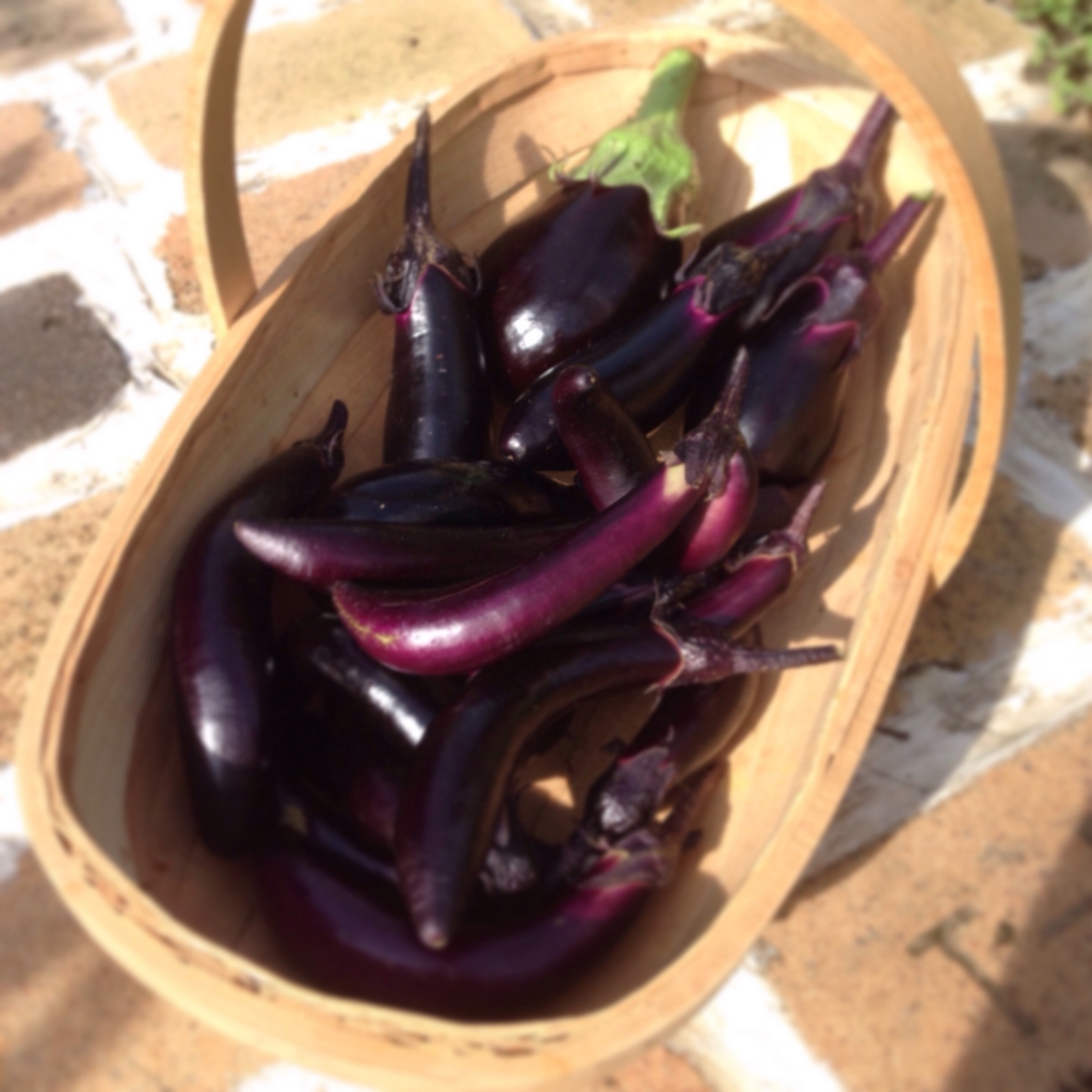 f:id:shopopo:20150721205858j:plain f:id:shopopo:20150721205858j:plain