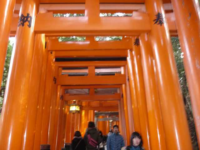 f:id:shotasakamoto:20100106171739j:image f:id:shotasakamoto:20100106171739j:image