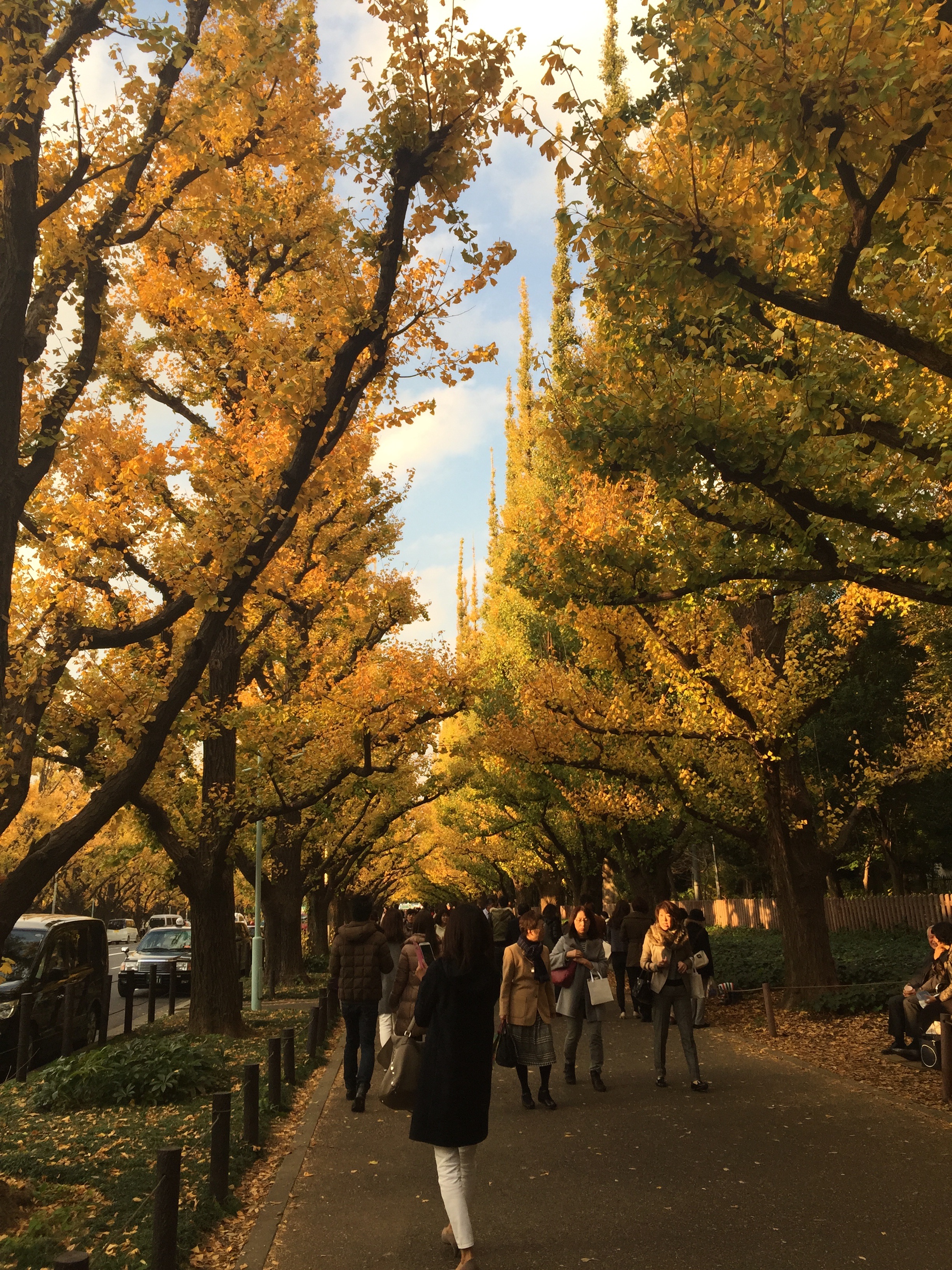 f:id:showa63girl:20151218091036j:image f:id:showa63girl:20151218091036j:image