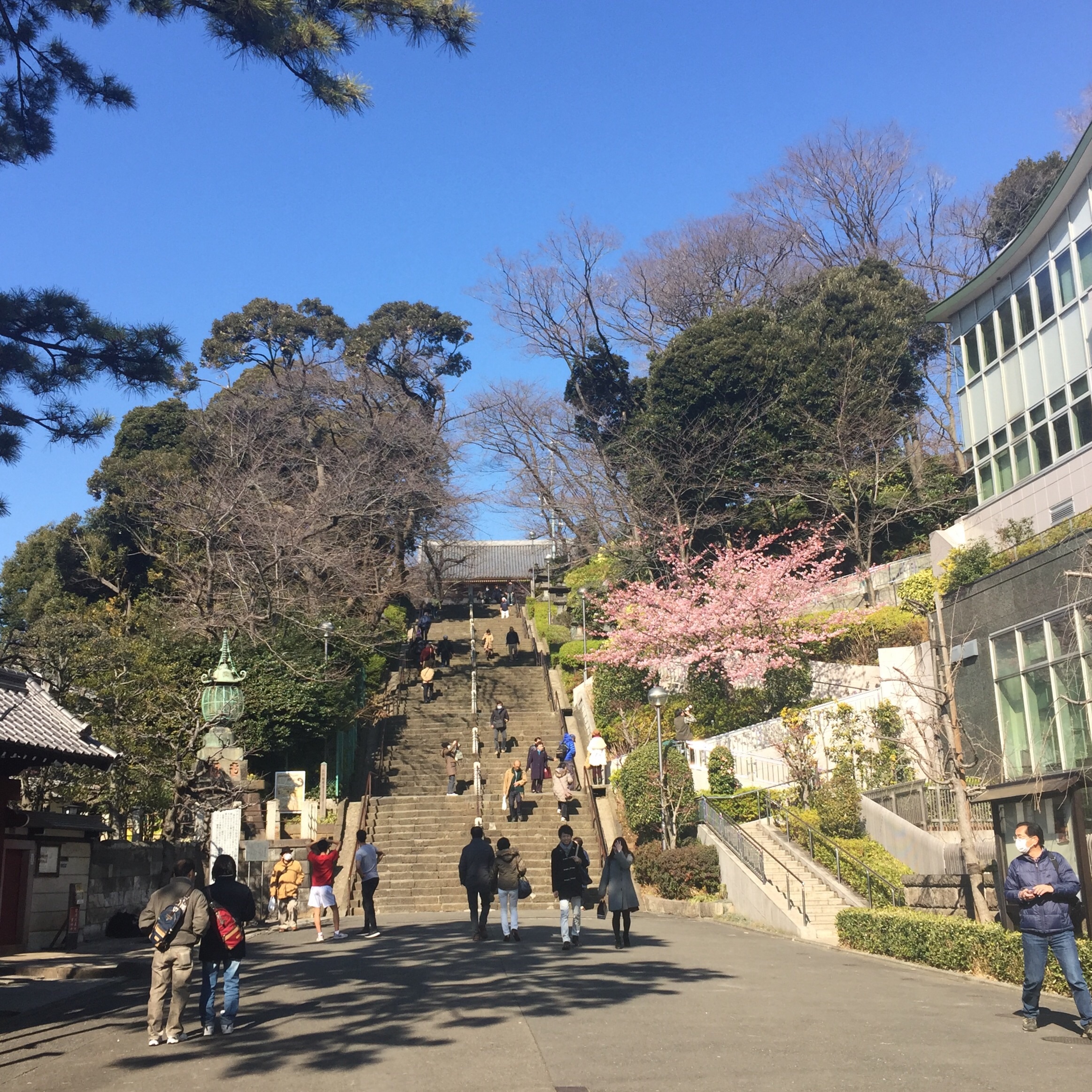 f:id:showa63girl:20160215095452j:image f:id:showa63girl:20160215095452j:image