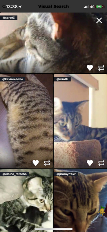 f:id:shu223:20180212090119j:image:w250 f:id:shu223:20180212090119j:image:w250