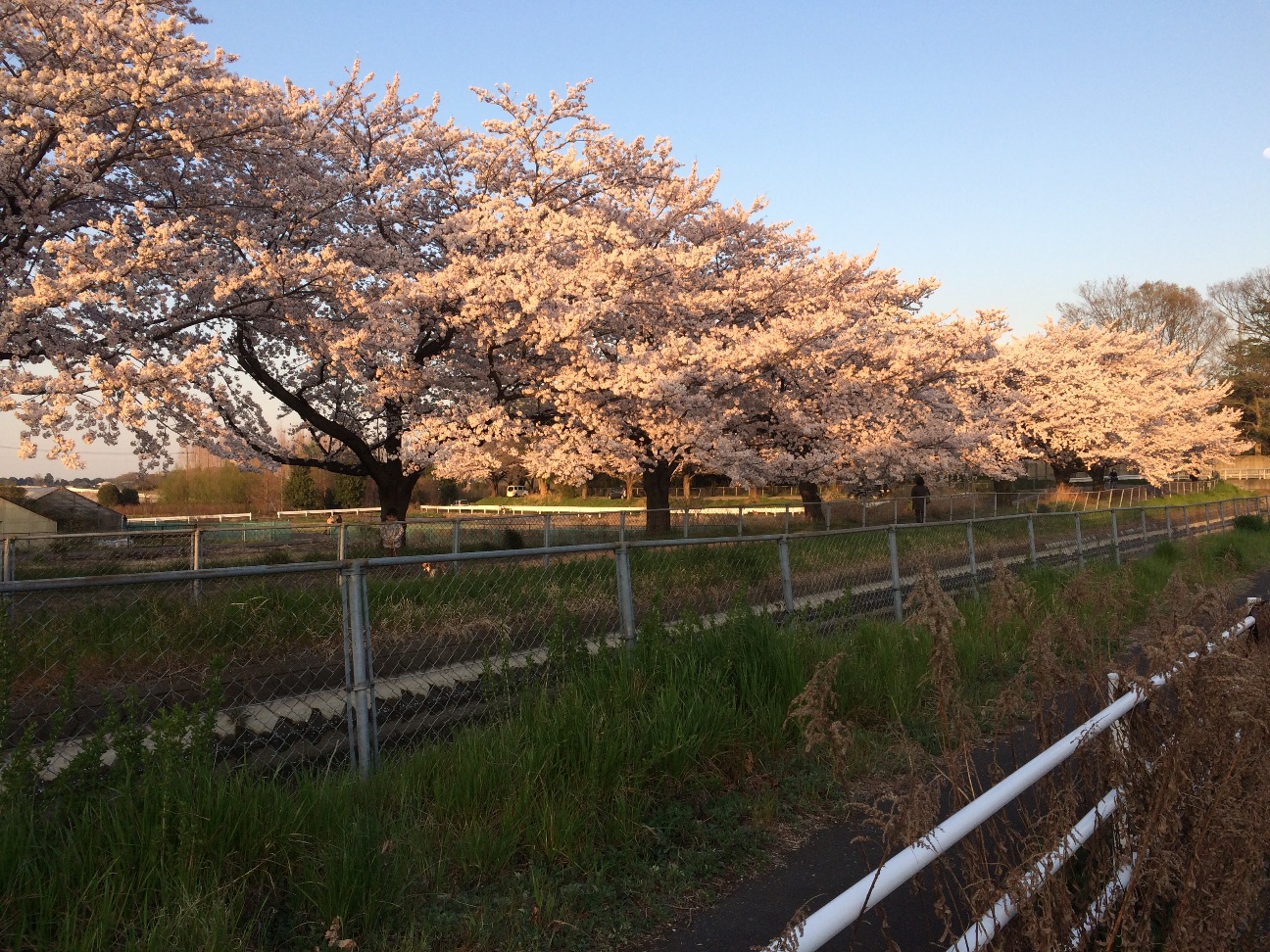f:id:shukatsu2016:20150527000819j:image f:id:shukatsu2016:20150527000819j:image