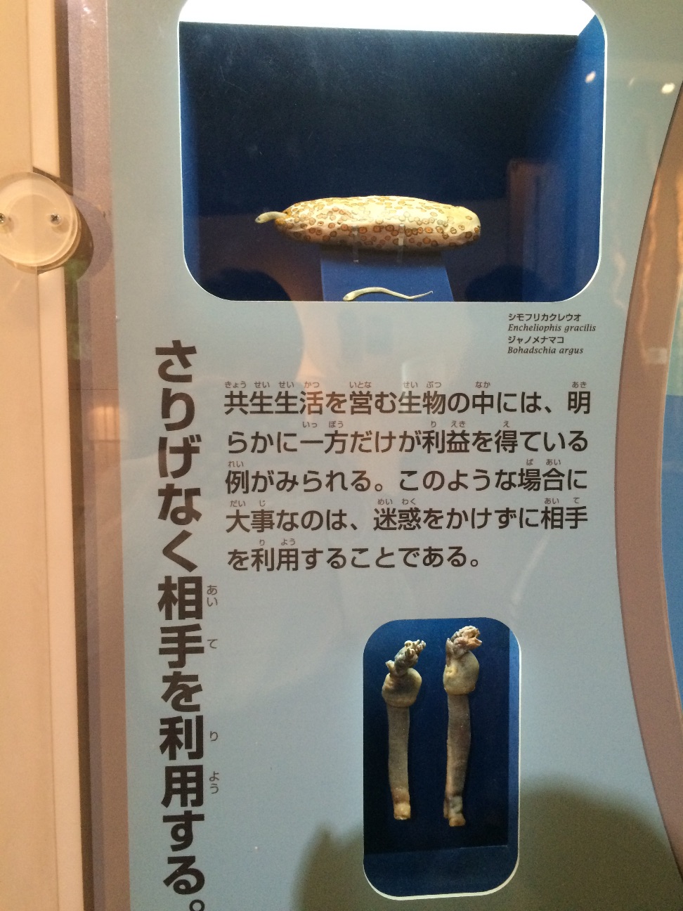 f:id:shukatsu2016:20150609173806j:image f:id:shukatsu2016:20150609173806j:image