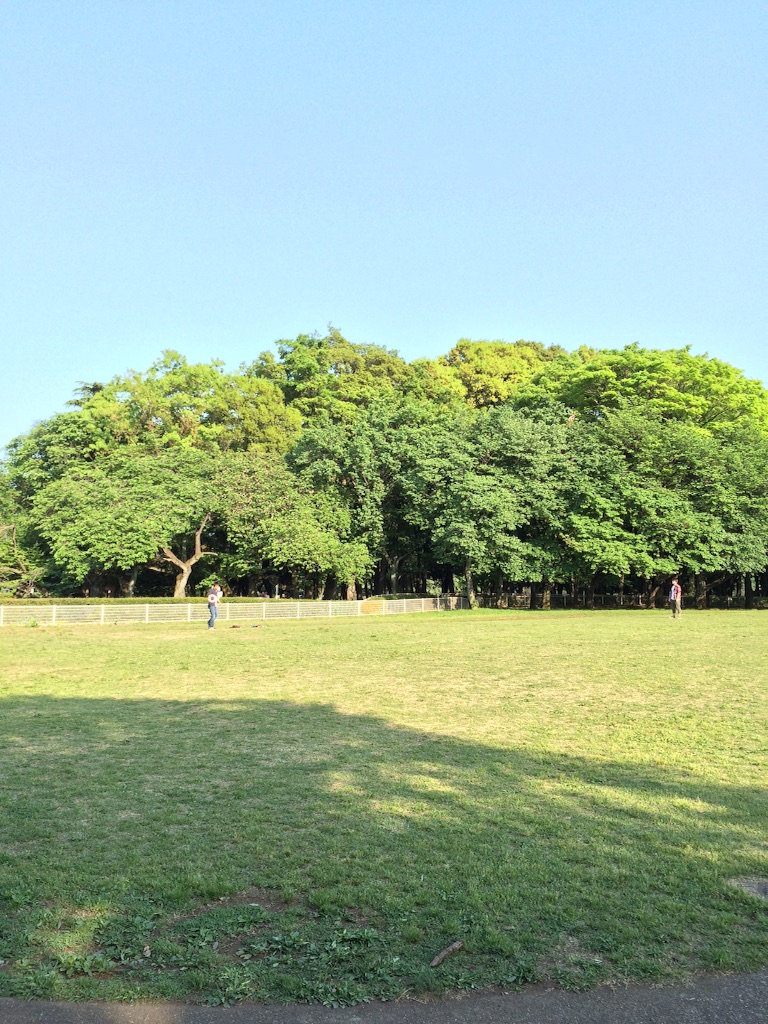 f:id:shun1771:20150801190350j:image f:id:shun1771:20150801190350j:image