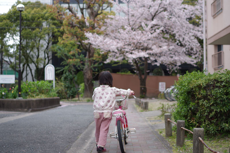 f:id:shunsuk:20130412190237j:plain f:id:shunsuk:20130412190237j:plain