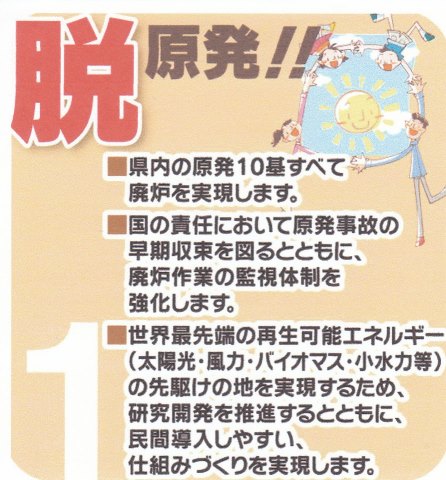 脱原発 、 廃炉 、 TPP に強く反対！？ 選挙 のため 