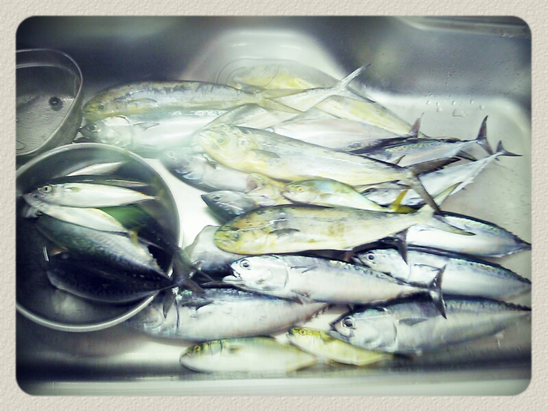 f:id:shuxaku21:20130818212946j:plain f:id:shuxaku21:20130818212946j:plain