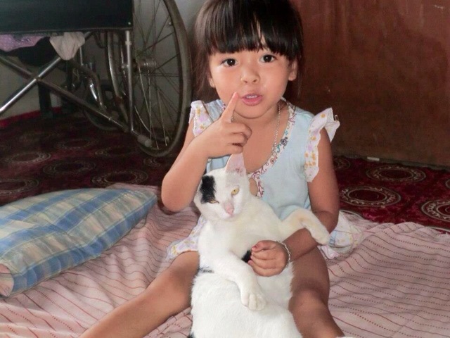 f:id:shuzo_takkyun:20140827233209j:plain f:id:shuzo_takkyun:20140827233209j:plain