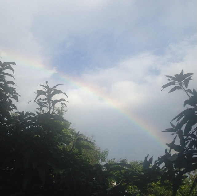 f:id:shuzo_takkyun:20140901232935j:plain f:id:shuzo_takkyun:20140901232935j:plain