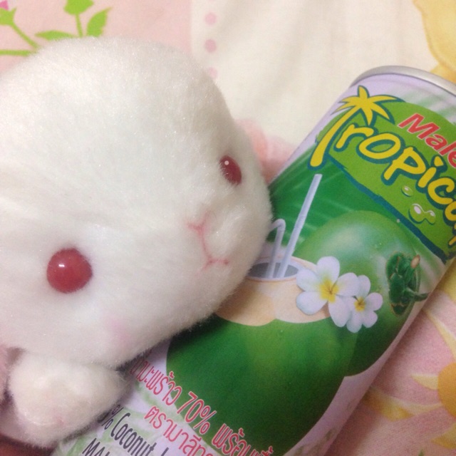 f:id:shuzo_takkyun:20150308031406j:plain f:id:shuzo_takkyun:20150308031406j:plain