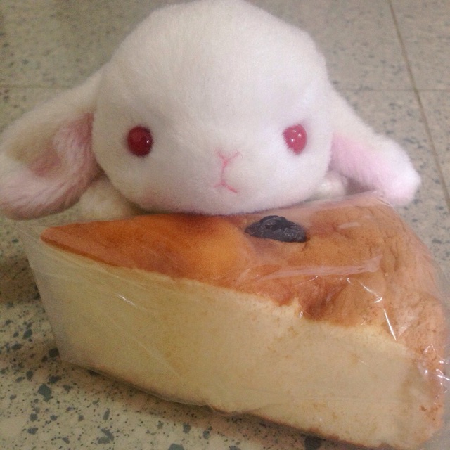 f:id:shuzo_takkyun:20150326232212j:plain f:id:shuzo_takkyun:20150326232212j:plain