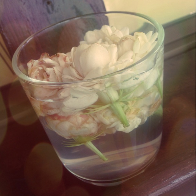 f:id:shuzo_takkyun:20150403113446j:plain f:id:shuzo_takkyun:20150403113446j:plain