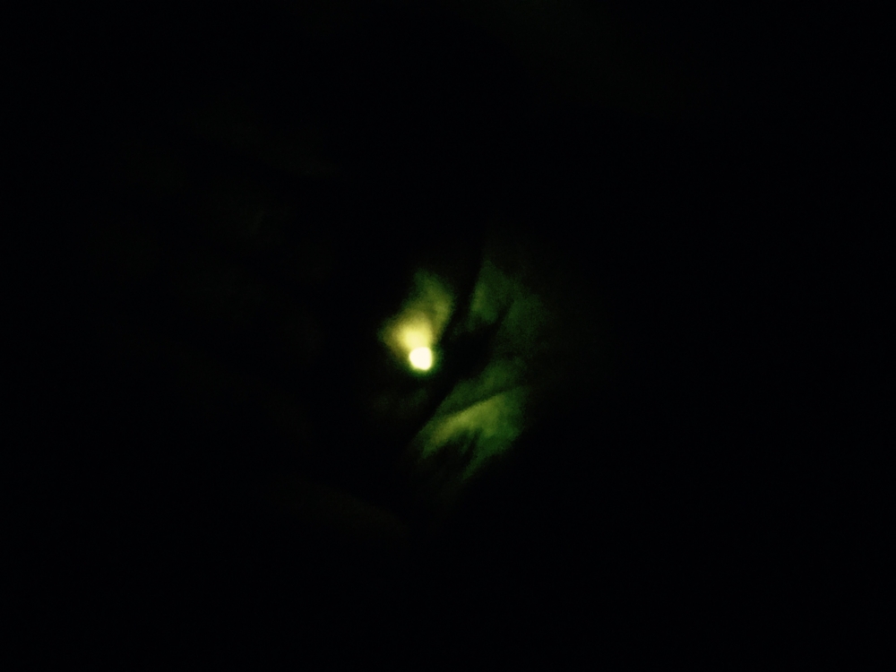 f:id:si-zen:20150613214403j:plain f:id:si-zen:20150613214403j:plain