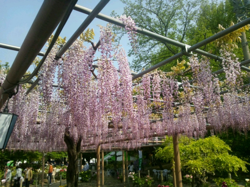 f:id:si124yu221hi130:20130429124143j:plain f:id:si124yu221hi130:20130429124143j:plain