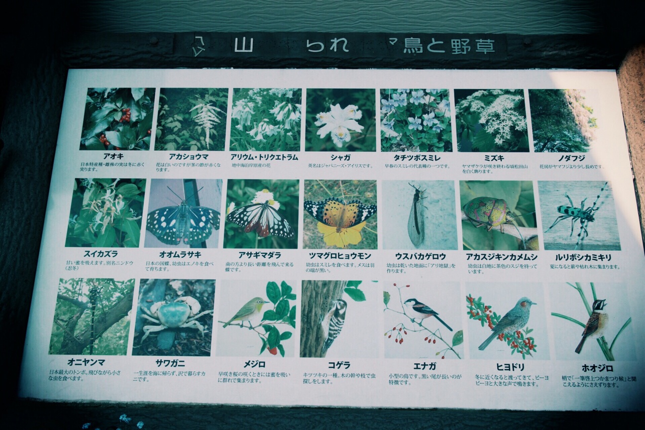 f:id:si_ku:20140426201850j:plain f:id:si_ku:20140426201850j:plain