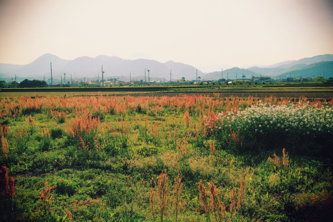f:id:si_ku:20140427232257j:plain f:id:si_ku:20140427232257j:plain