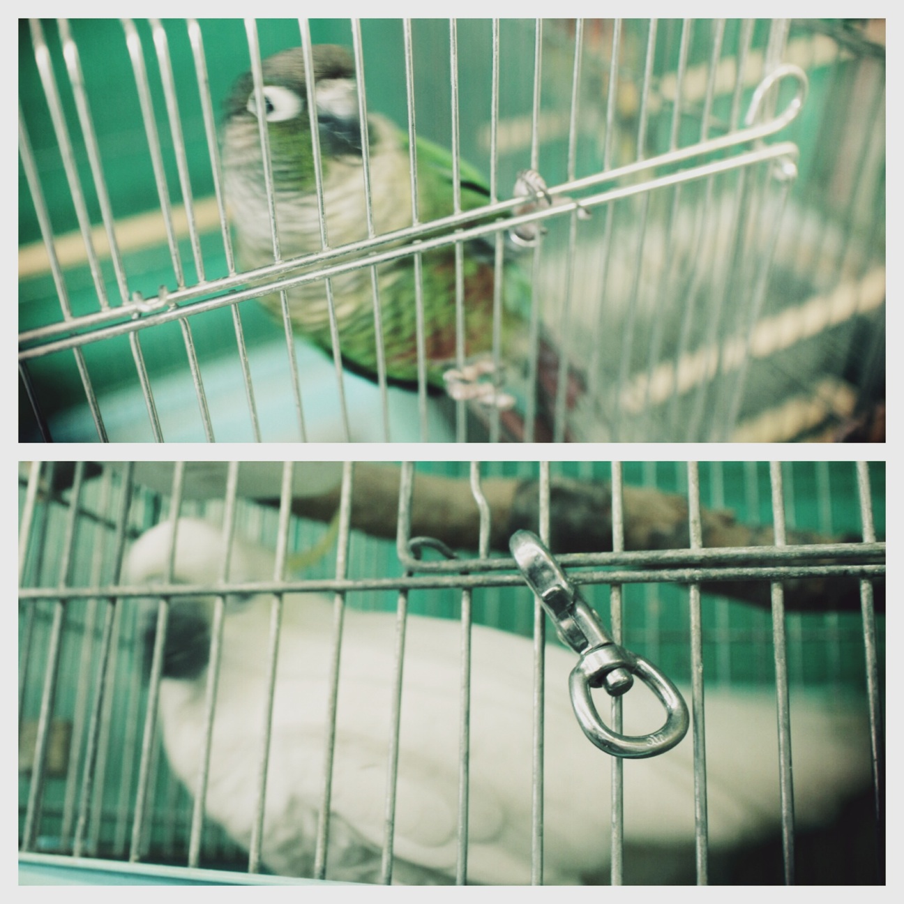 f:id:si_ku:20140428205724j:plain f:id:si_ku:20140428205724j:plain