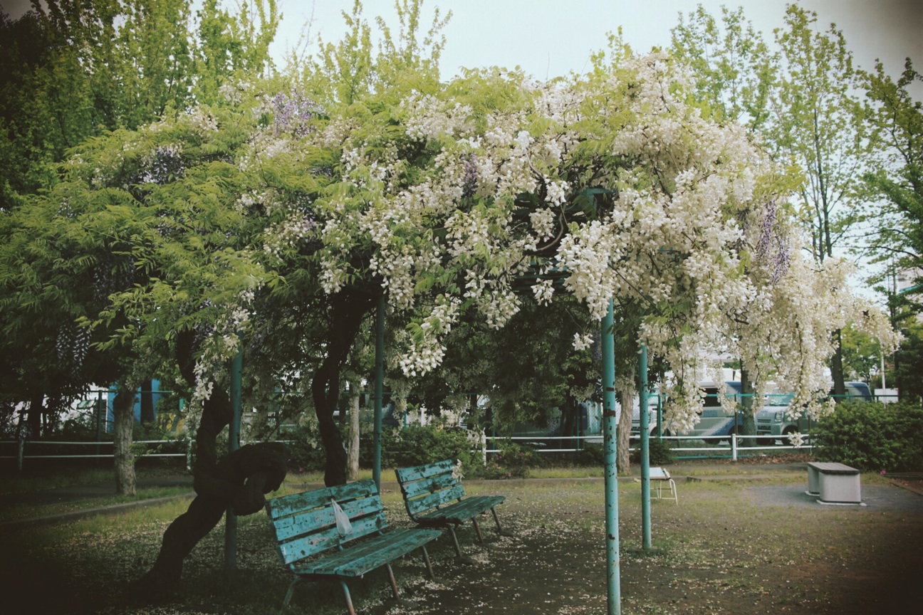 f:id:si_ku:20140428210130j:plain f:id:si_ku:20140428210130j:plain