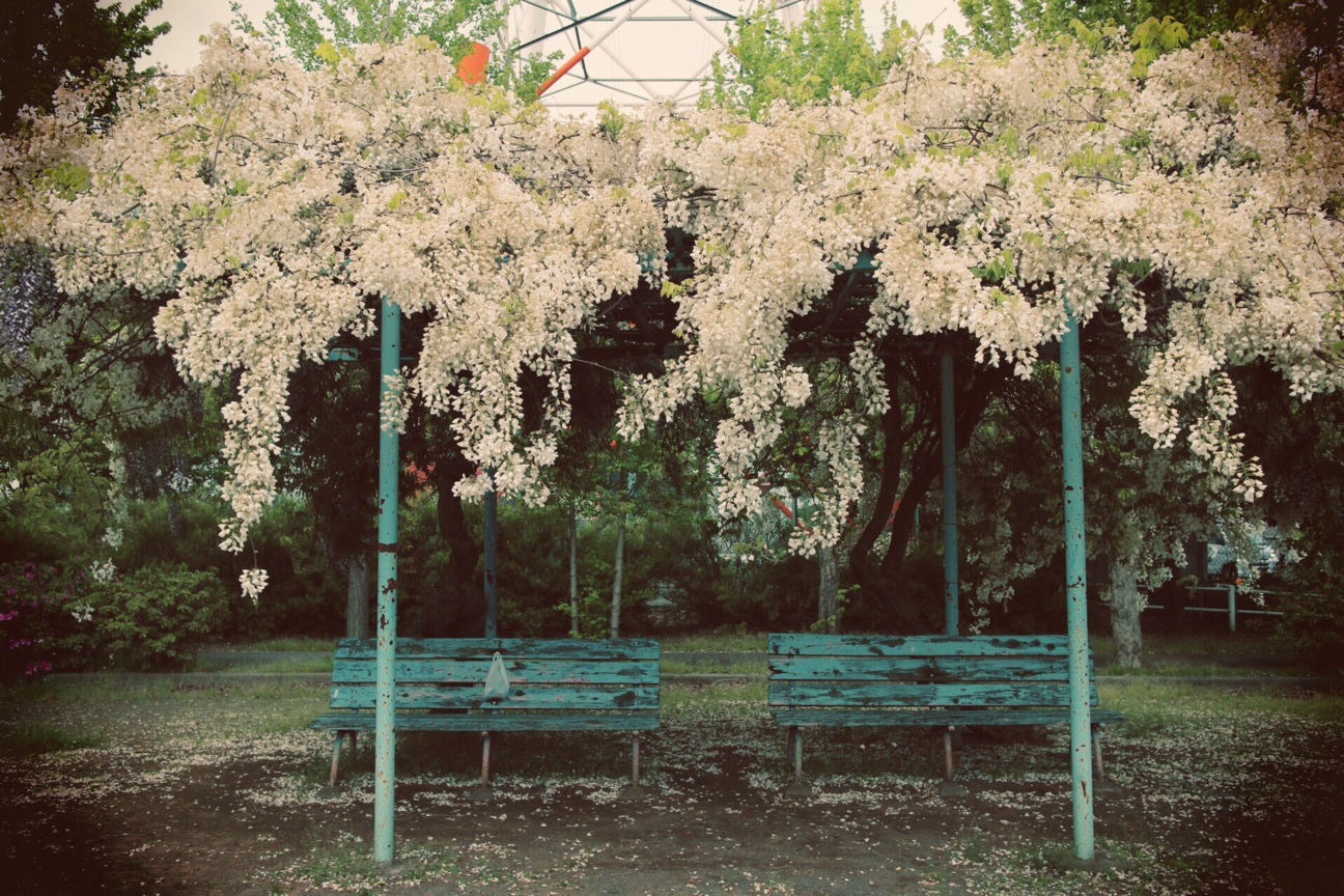 f:id:si_ku:20140428210207j:plain f:id:si_ku:20140428210207j:plain