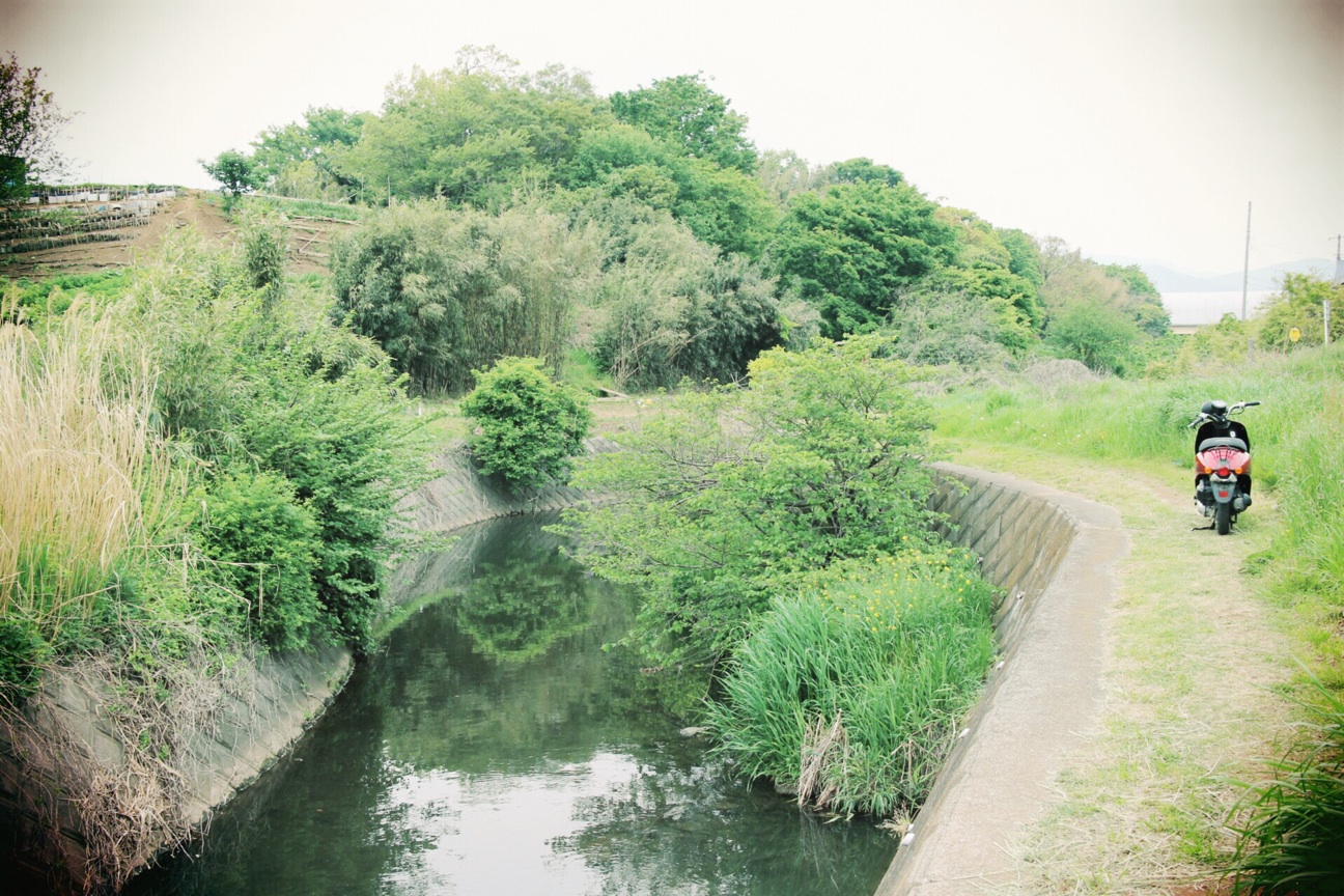 f:id:si_ku:20140429182633j:plain f:id:si_ku:20140429182633j:plain