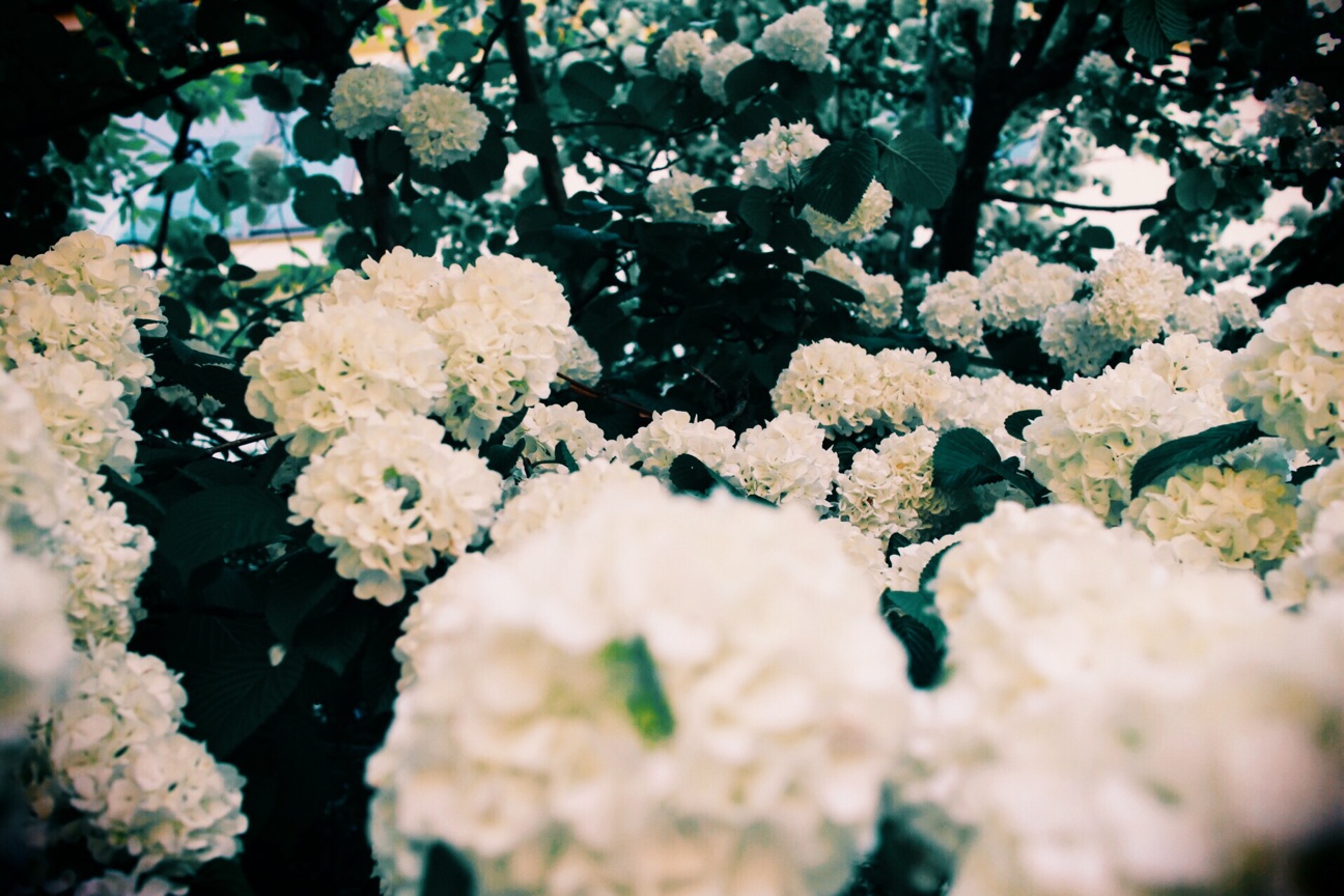 f:id:si_ku:20140501180634j:plain f:id:si_ku:20140501180634j:plain