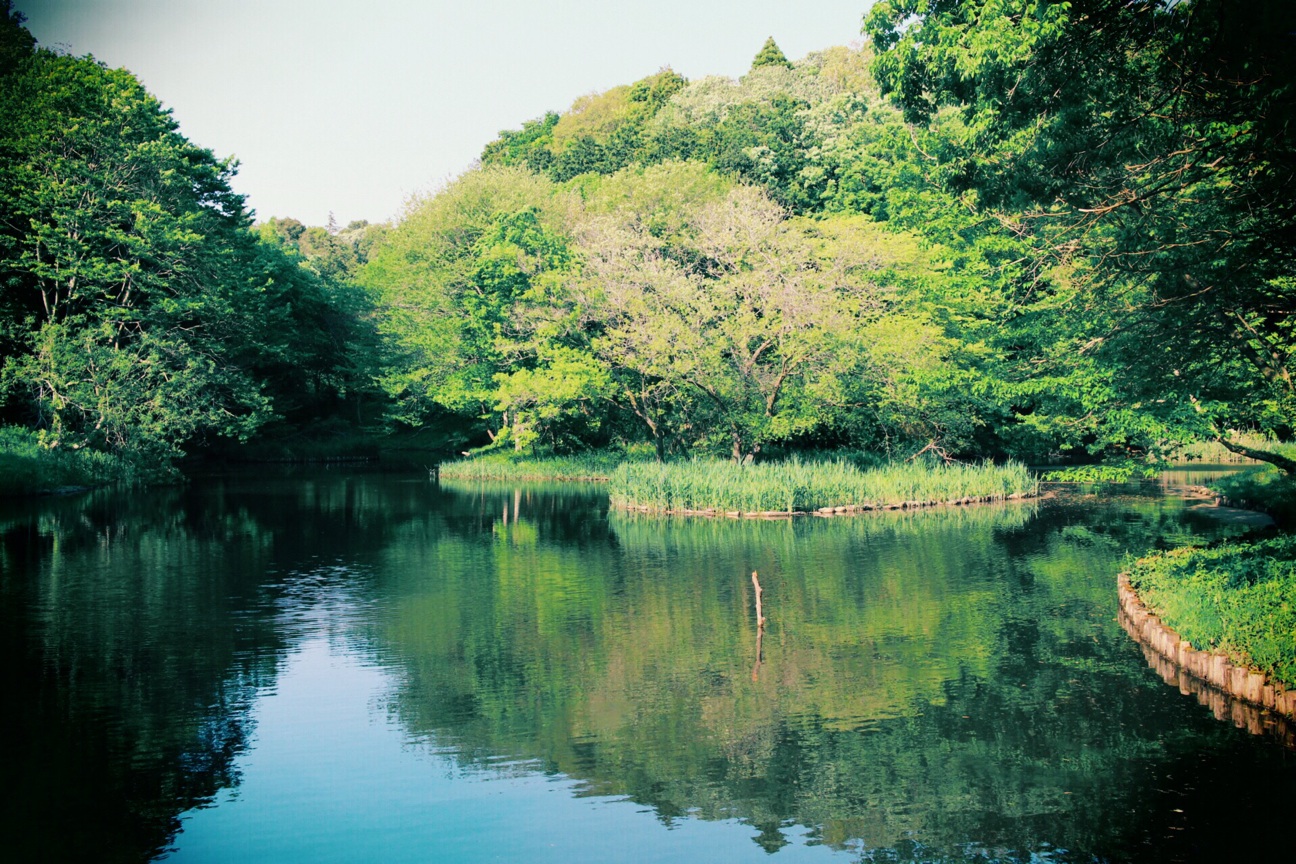 f:id:si_ku:20140501180738j:plain f:id:si_ku:20140501180738j:plain
