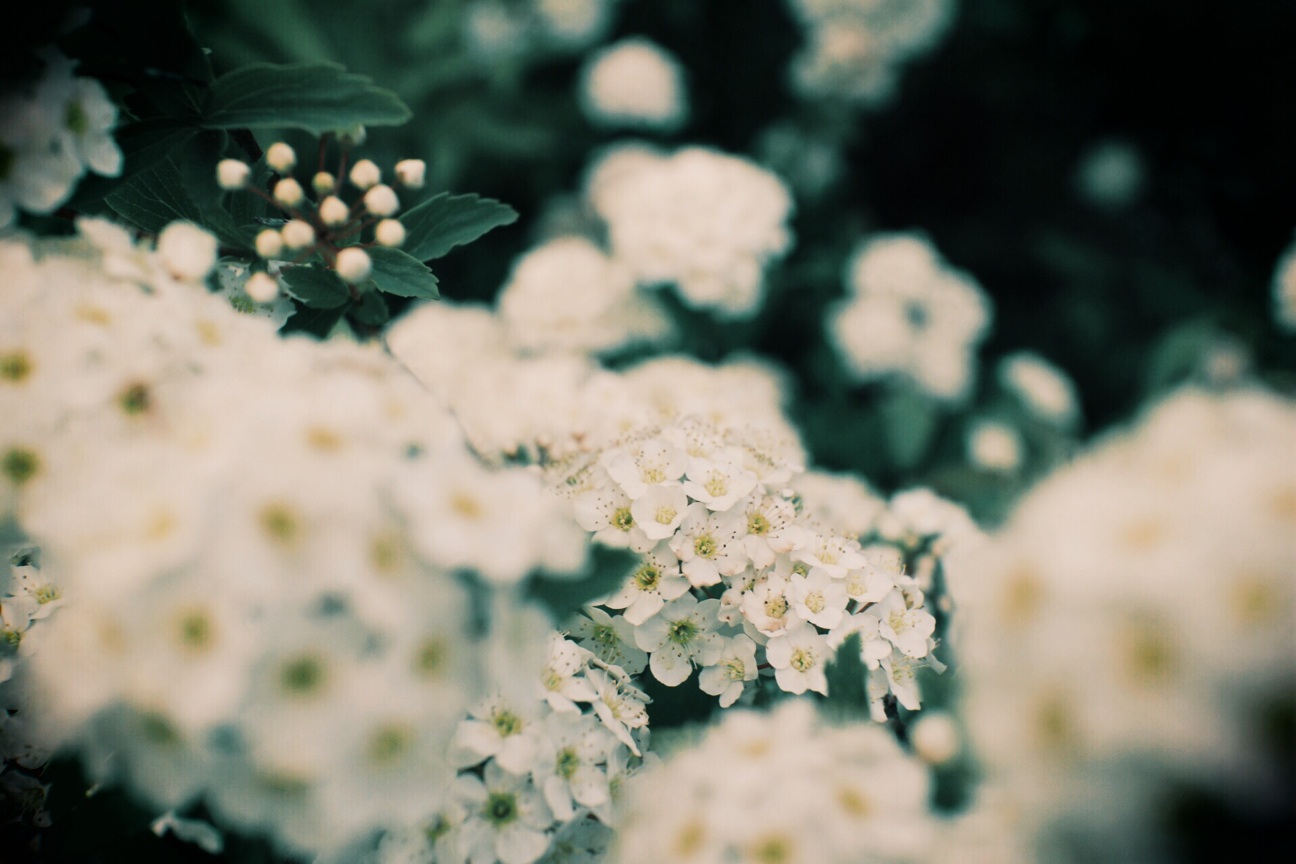 f:id:si_ku:20140506221225j:plain f:id:si_ku:20140506221225j:plain