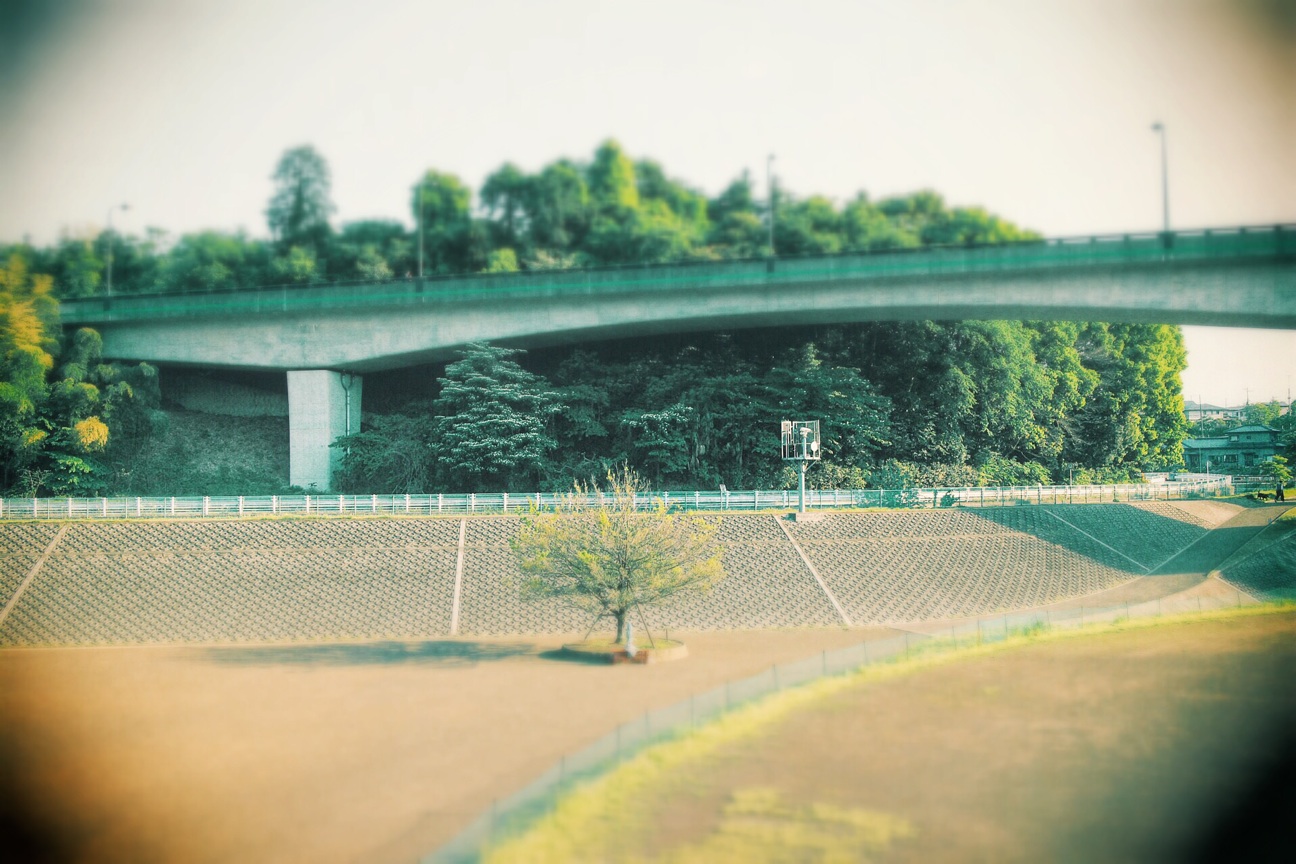 f:id:si_ku:20140507190807j:plain f:id:si_ku:20140507190807j:plain