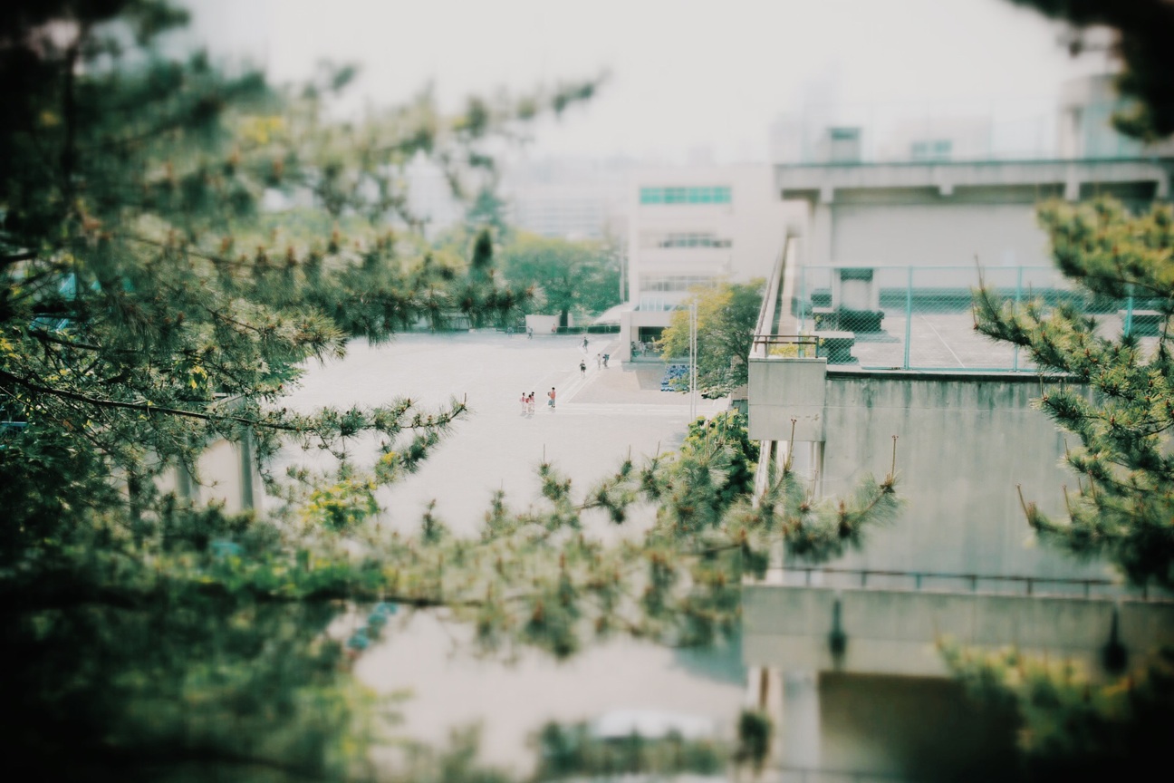 f:id:si_ku:20140509212614j:plain f:id:si_ku:20140509212614j:plain