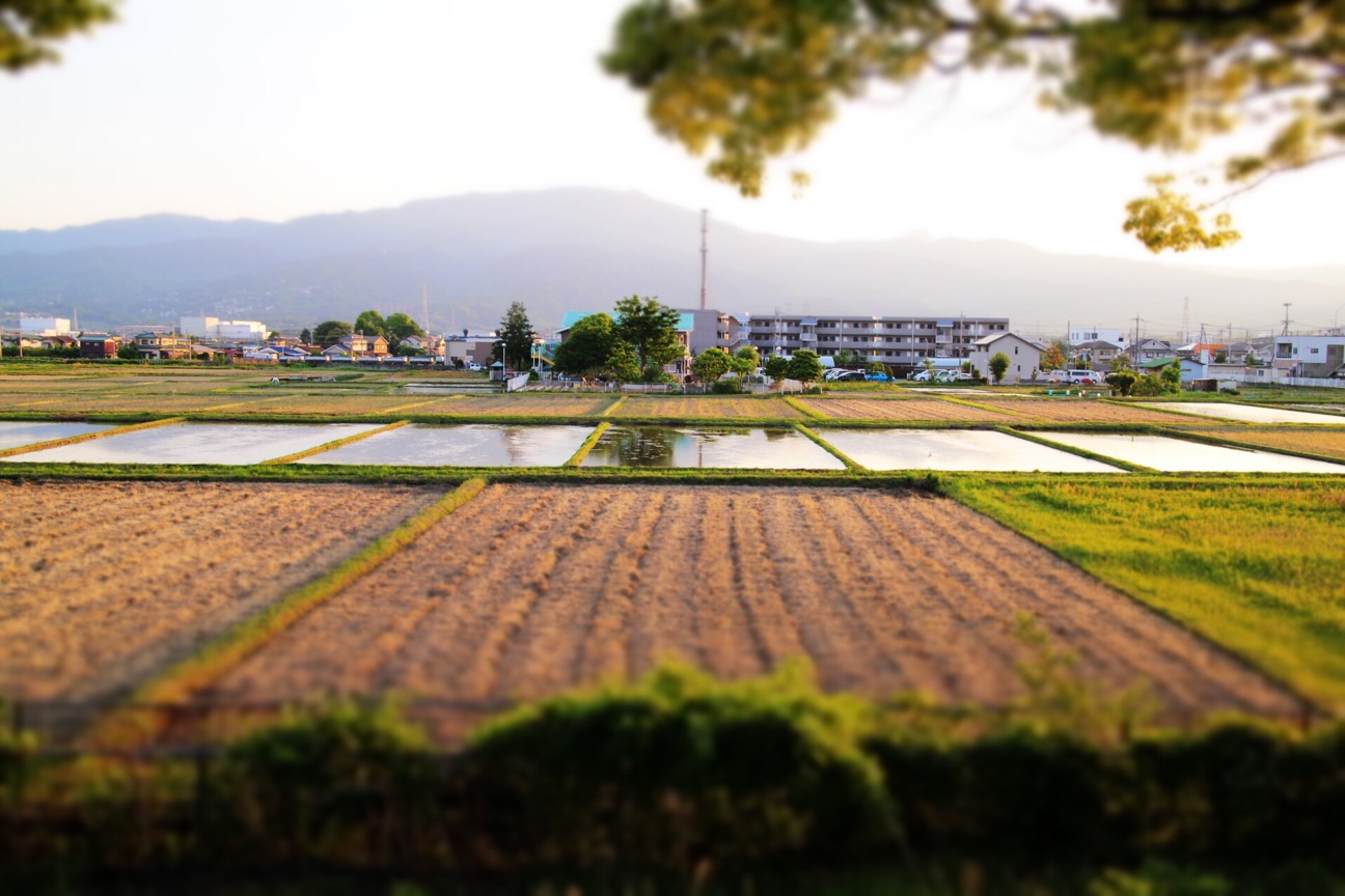 f:id:si_ku:20140511203857j:plain f:id:si_ku:20140511203857j:plain