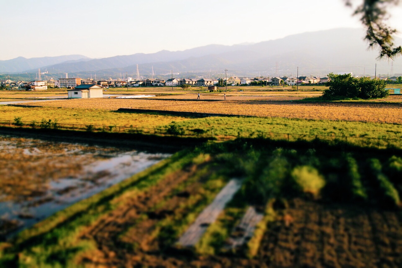 f:id:si_ku:20140511204251j:plain f:id:si_ku:20140511204251j:plain